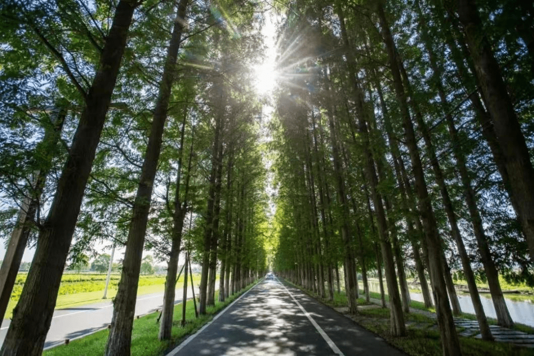 聚焦数智化绿色装备开发 卓锦股份参展2025浙江环境科技年会