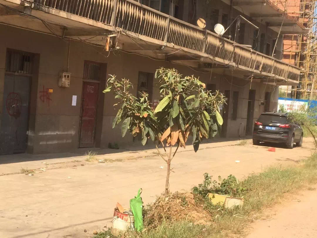 普邦股份联合中标香蜜湖公园工程项目