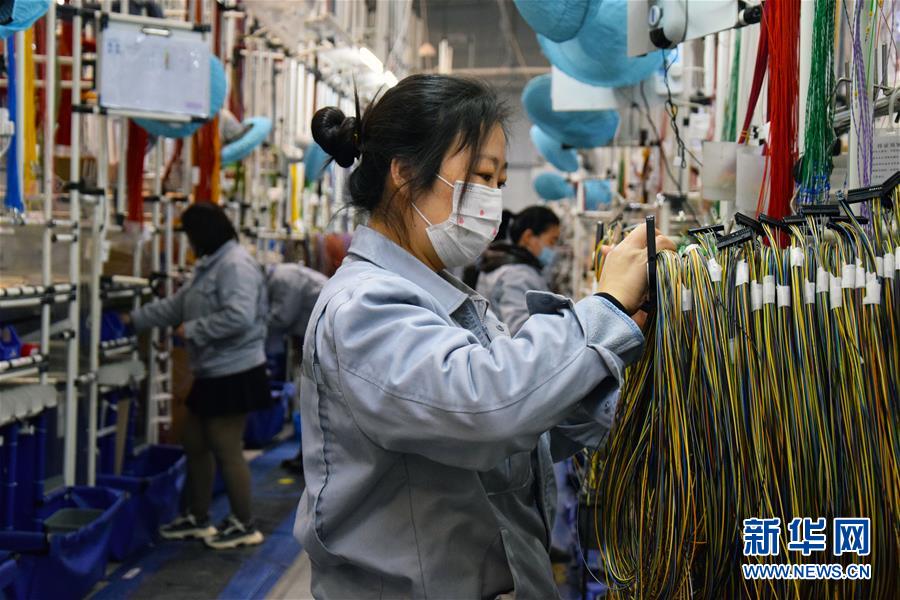 习近平总书记关切事｜攥紧中国种子