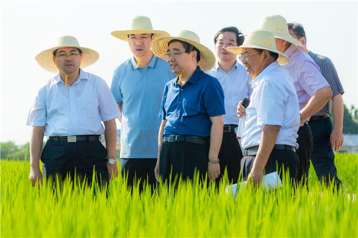 中粮资本：聘任张扬为财务负责人 蹇侠为董事会秘书