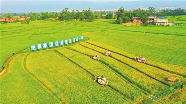 夯实高质量发展根基 公募掌门人热议行业压舱石