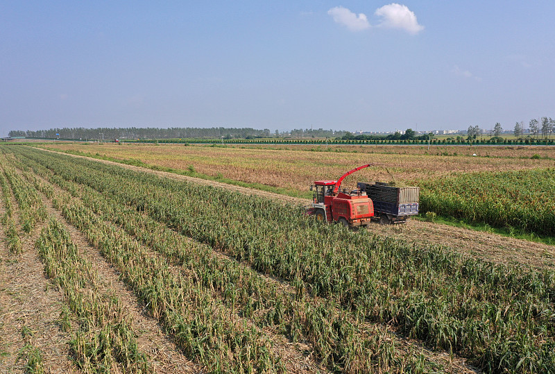 看！大国“三农”年度成绩单