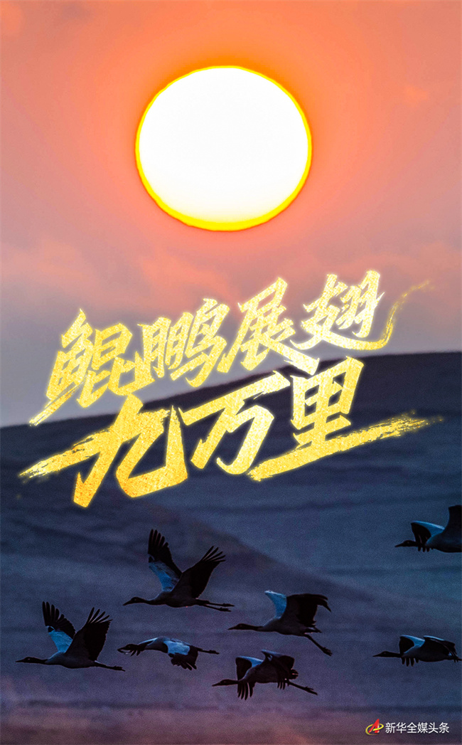以习近平同志为核心的党中央2025年治国理政纪实