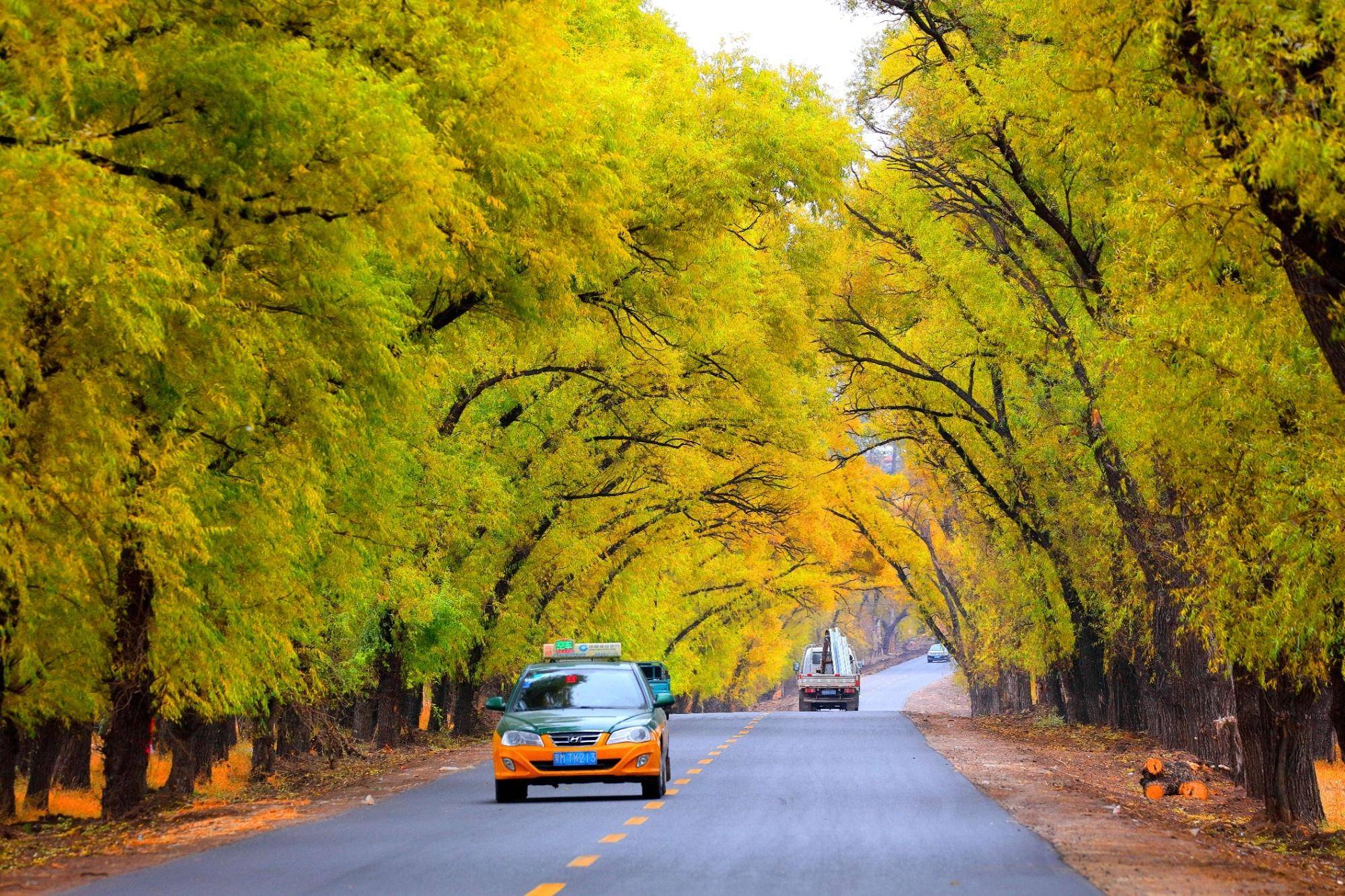 雅图高新冯兆均：全面推进国际化战略 助力行业高质量发展