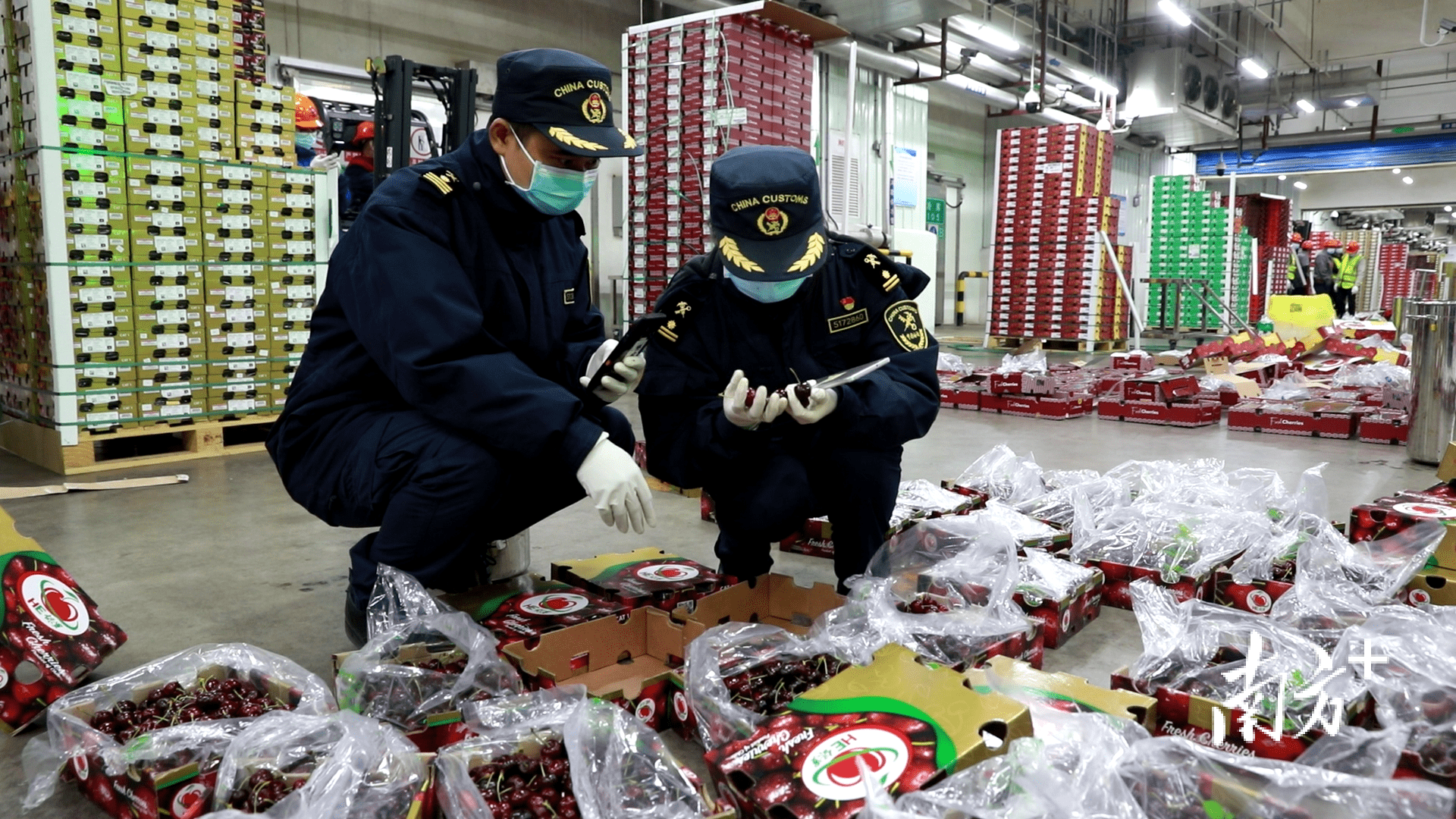 “十五五”时期海关将适度扩大进口