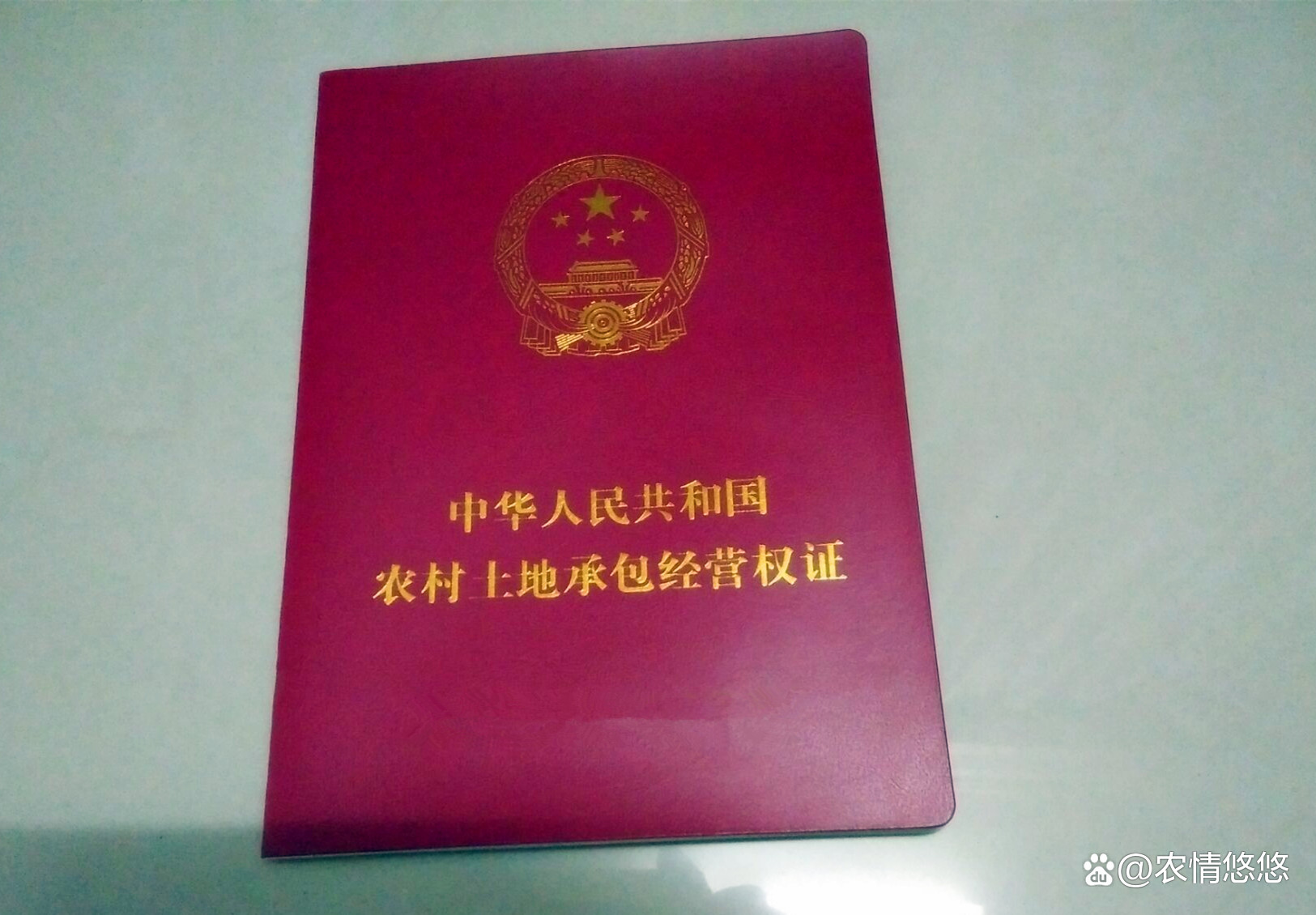 我国将稳步推进第二轮土地延包整省试点