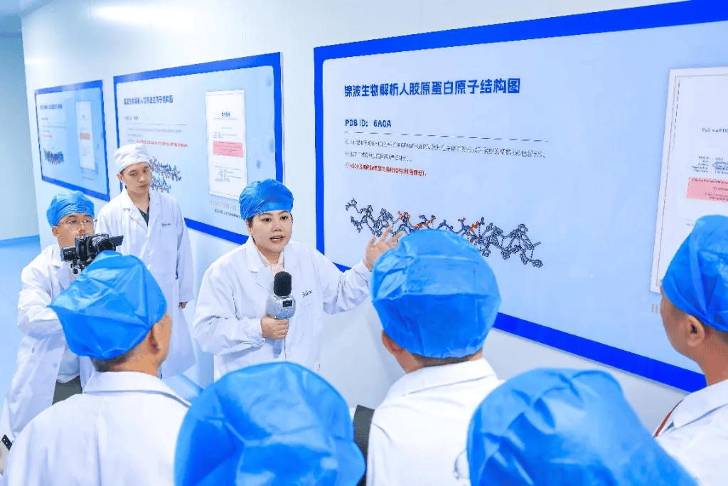 时隔两年北交所定增“破冰” 锦波生物20亿元再融资获批