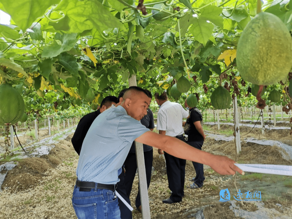 新春走基层丨悬崖上的“金灯”