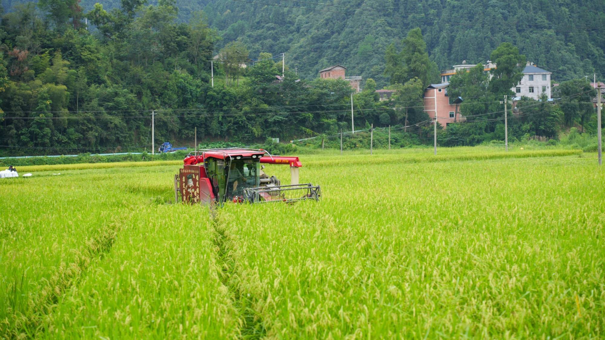 春暖一线看生产丨春回沃野农事忙