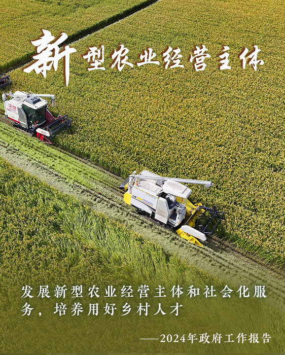 两会新华视点｜新图景！16个“强国”怎么看？怎么干？